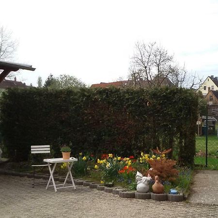 Apartament Wendler'S Haus Meuselwitz Zewnętrze zdjęcie
