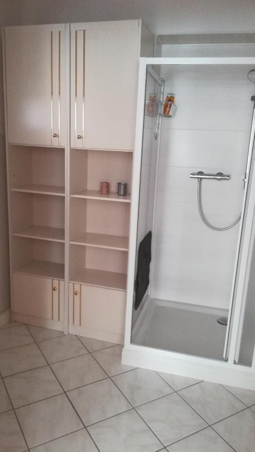 Apartament Wendler'S Haus Meuselwitz Zewnętrze zdjęcie